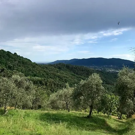 Saint Roch - Privata Con Bagno - Vista Su Giardino - Colazione * Ponzano Superiore