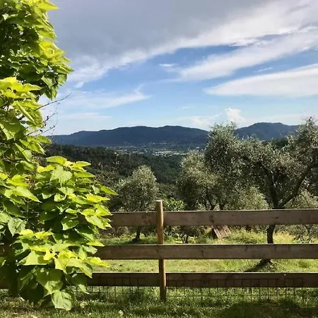 Guest house Saint Roch - Privata Con Bagno - Vista Su Giardino - Colazione *