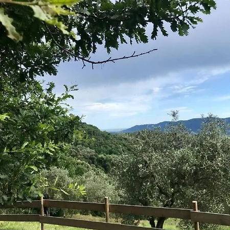 Guest house Saint Roch - Privata Con Bagno - Vista Su Giardino - Colazione