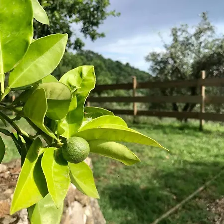 Saint Roch - Privata Con Bagno - Vista Su Giardino - Colazione בית הארחה Ponzano Superiore