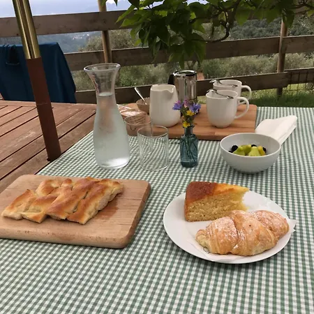 Saint Roch - Privata Con Bagno - Vista Su Giardino - Colazione Guest house Ponzano Superiore