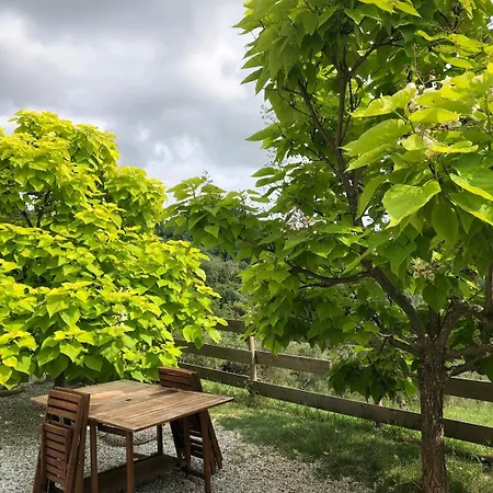 Saint Roch - Privata Con Bagno - Vista Su Giardino - Colazione بيت ضيافة *
